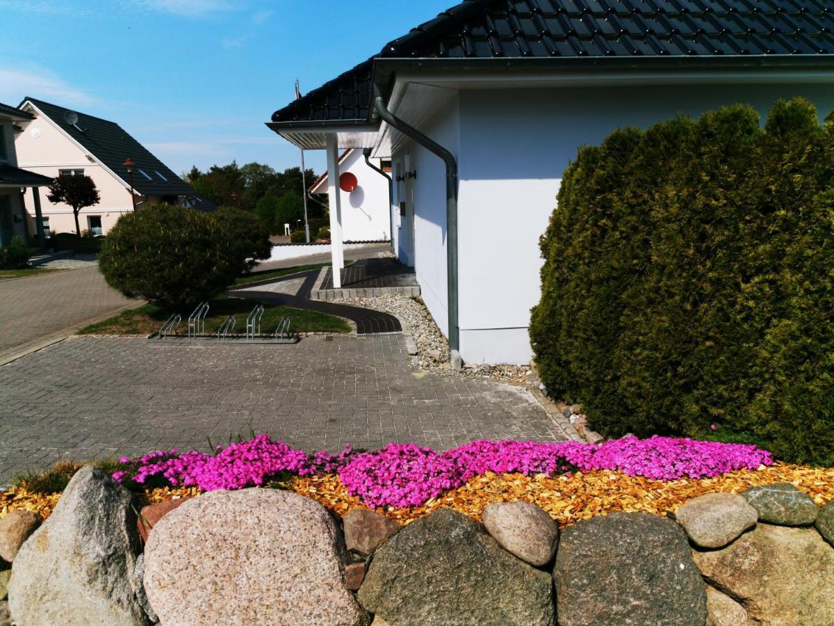 Sun House *